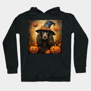 American Water Spaniel Halloween Hoodie